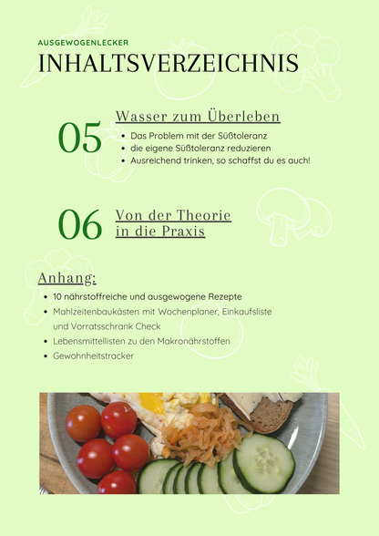 ,,Essen ist mehr als eine Kalorienangabe'' Ratgeber E-Book