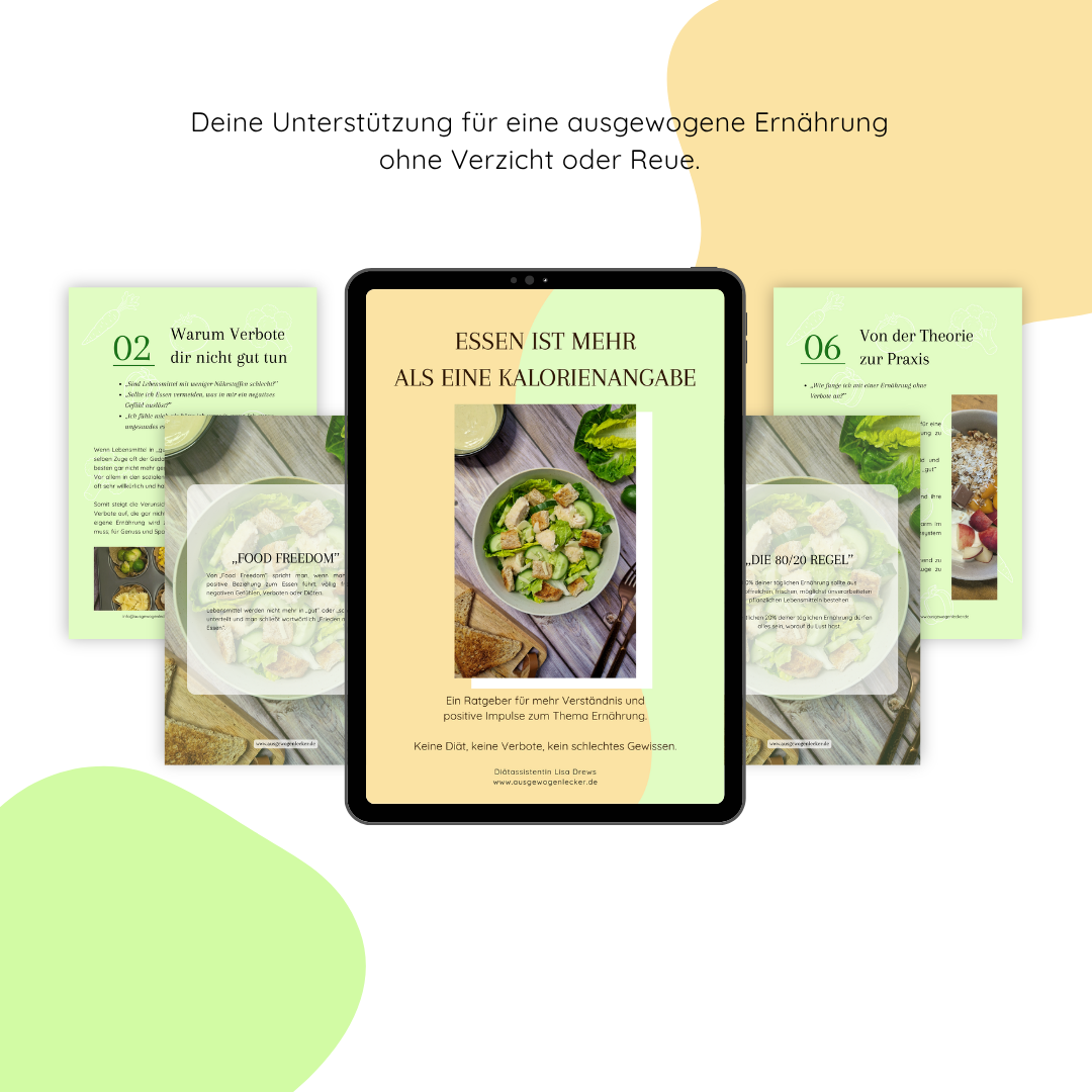 ,,Essen ist mehr als eine Kalorienangabe'' Ratgeber E-Book